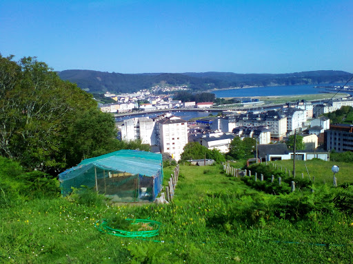 Viveiro Apeadero Gallery - Spain