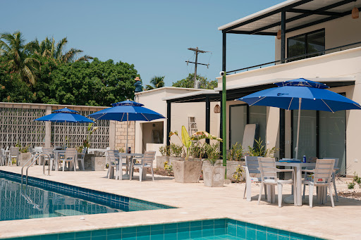 Ceiba Nativa