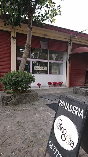 Panaticos - Visual