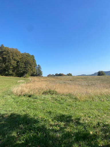 Moor am Oberbühlhof