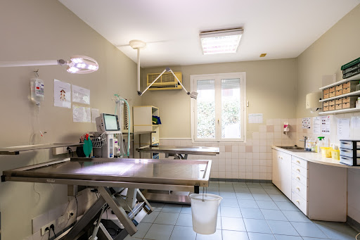 Clinique Vétérinaire de la Croix Blanche - Le Péage-de-Roussillon