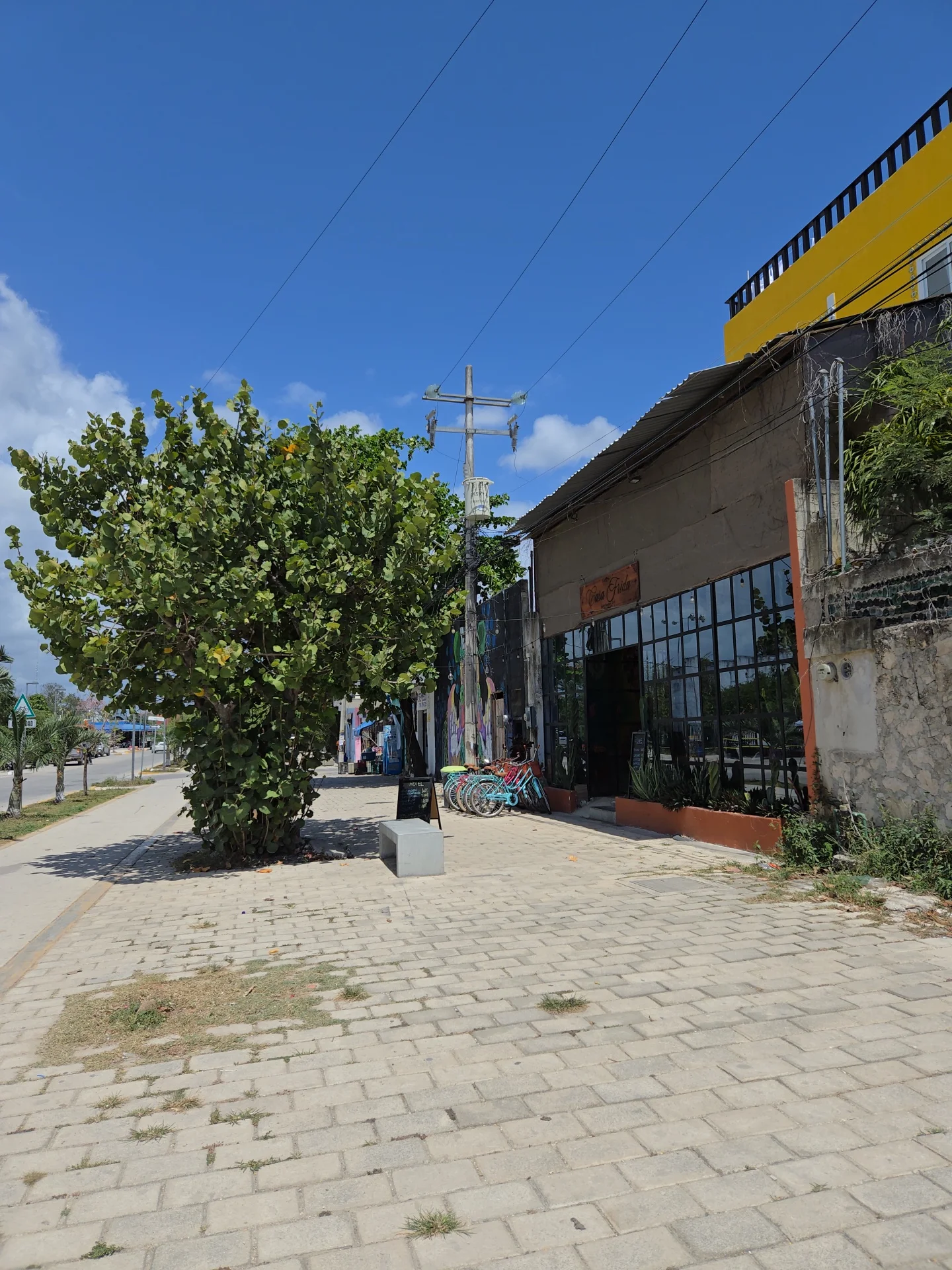 Casa Frida