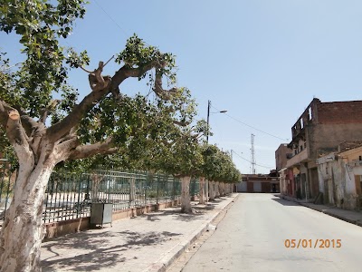 Photos of yellel Public Garden