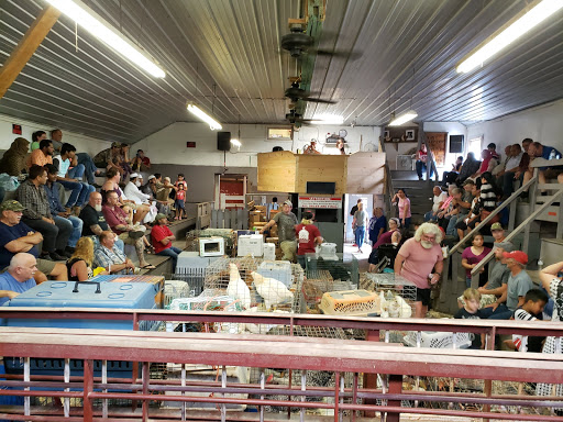 Gentner Commission Market - Thumbnail