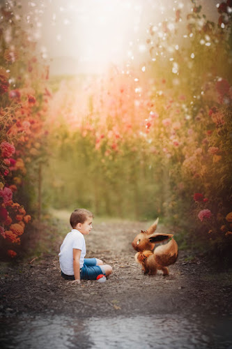 Coline Photographe