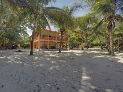 Photos of Kitty's Place