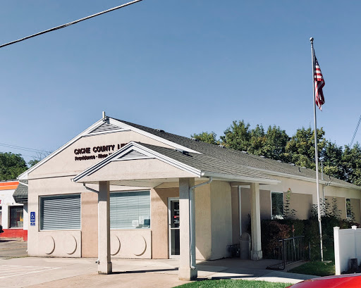 Cache County Library - Visual