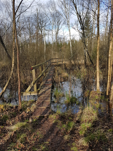 Räfshalen - Visual