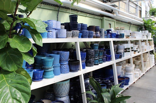 Longfellow's Greenhouses - Thumbnail