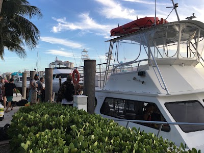 Photos of South Beach Dive and Surf Shop