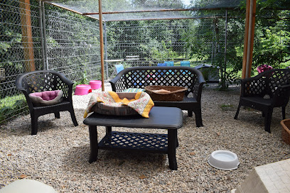 Pension pour chats : Les Aristos