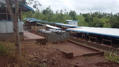 Photos of Da Bulls Mwangaza Farm