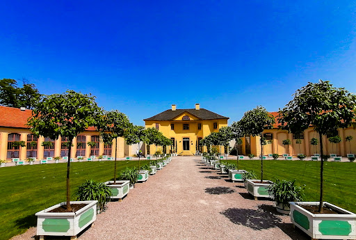 Orangerie Belvedere - Visual