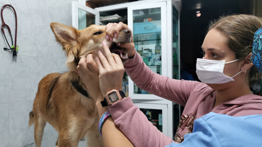 Hospital Veterinario SOS
