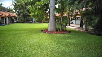 Photos of SureStay Palmareca suites & Hotel by Best Western