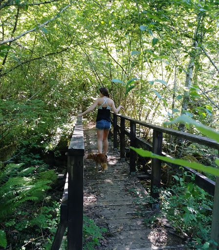 Gerlinger County Park - Visual