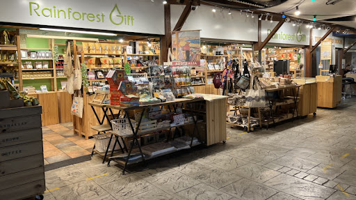 Rainforest Gift - Visual
