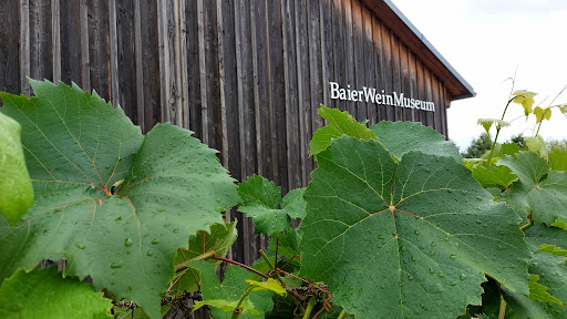 Baierweinmuseum - Visual