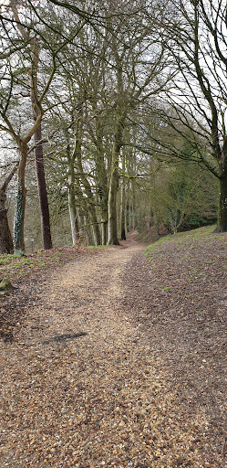 Pine walk - Visual