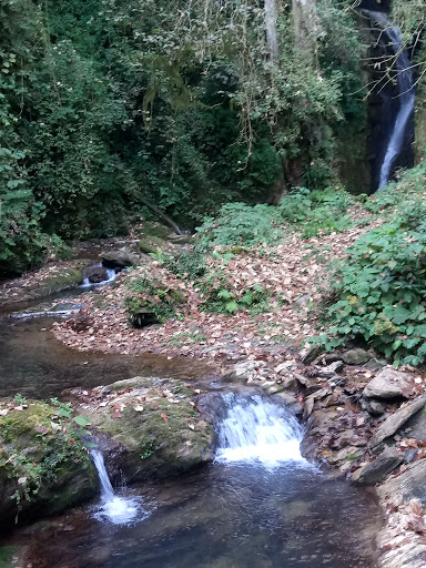 Alseseca - Visual