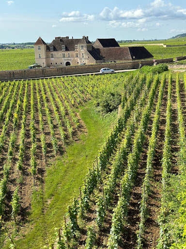 Wine Detours - Visual