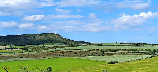 Toro de Osborne. Miranda de Ebro