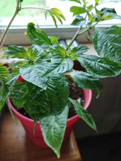 Photos of Glei's Orchards & Greenhouses