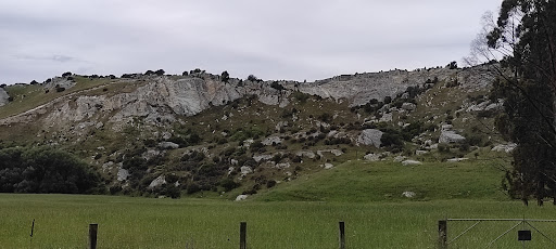 Waipara River Fossils - Thumbnail