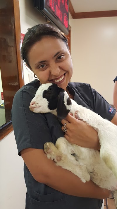 Photos of Pembroke Veterinary Hospital
