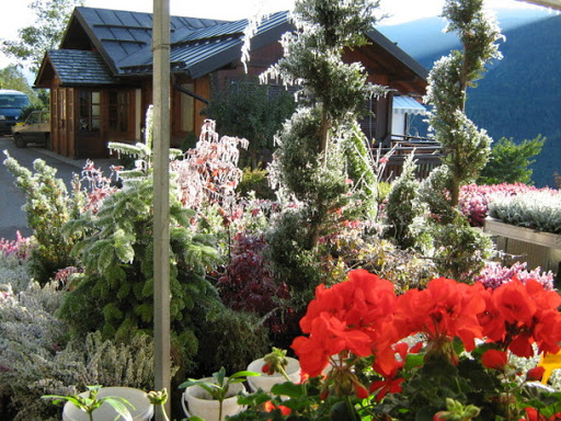 Floricoltura Zanella Michele - Thumbnail