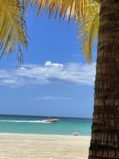 Excellent Escapes Travel, LLC - Thumbnail