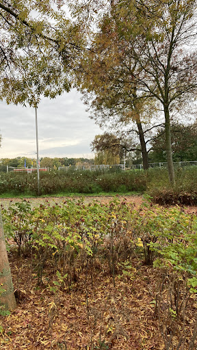 Allerwiesen - Thumbnail