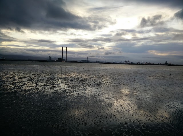 Bull Island