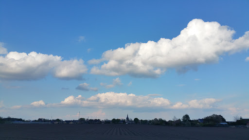 Goedhart Sevenum B.V. - Thumbnail