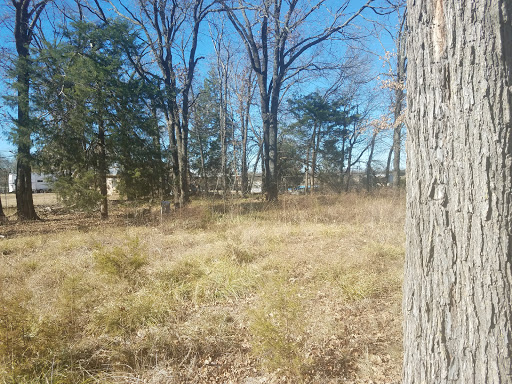 Corn Cemetery - Visual
