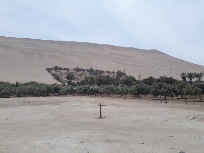 Photos of Panorama de Valle de Azapa