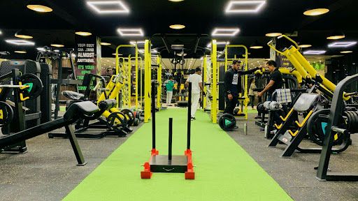 Bodyline Fitness Phase2