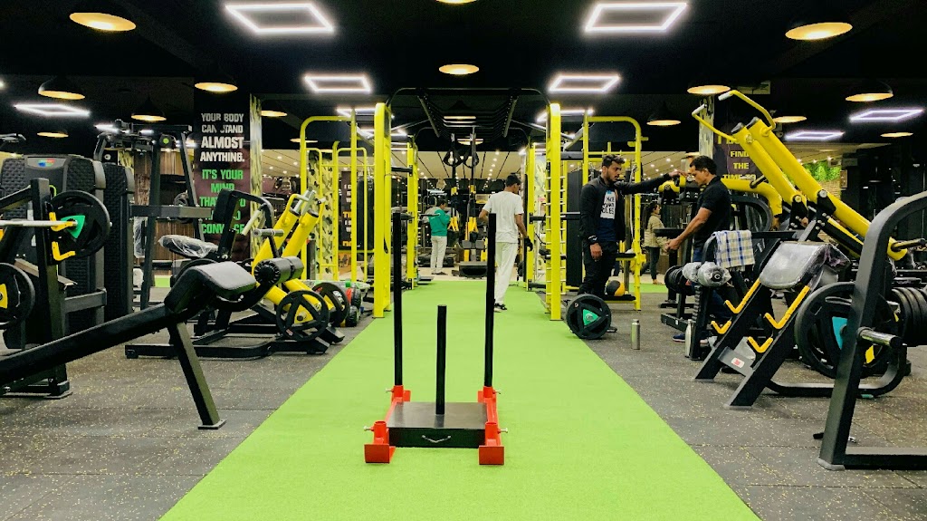 Bodyline Fitness Phase2