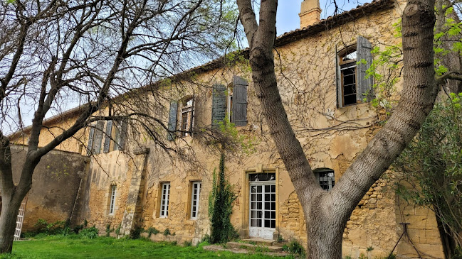 Domaine de Sulauze, Guillaume Lefèvre - Caviste