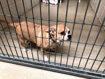 Nebraska Humane Society