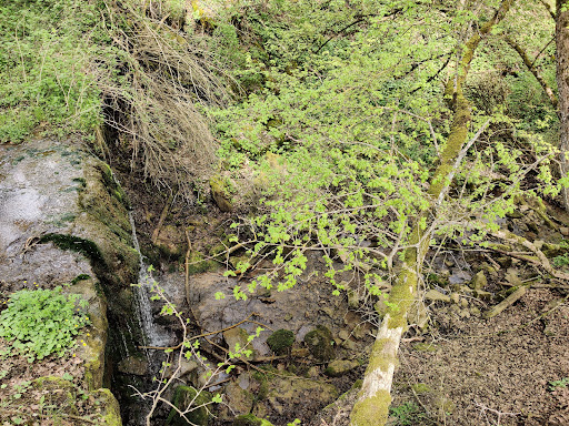 Mühlhauser Naturbadewelt - Thumbnail