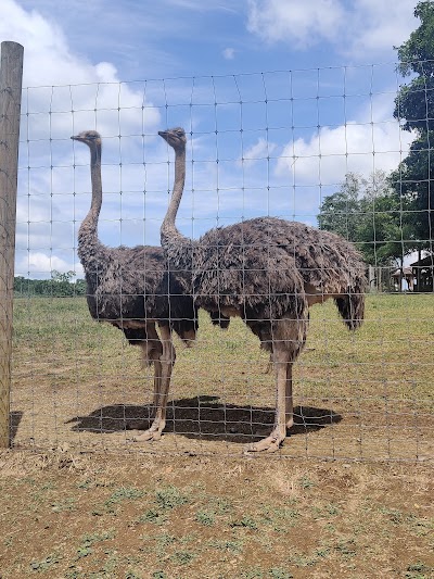 Lake Tobias Wildlife Park