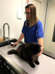 Photo n°35 de Clinique Vétérinaire de l'Avenir à La Chapelle-la-Reine (Vétérinaire)