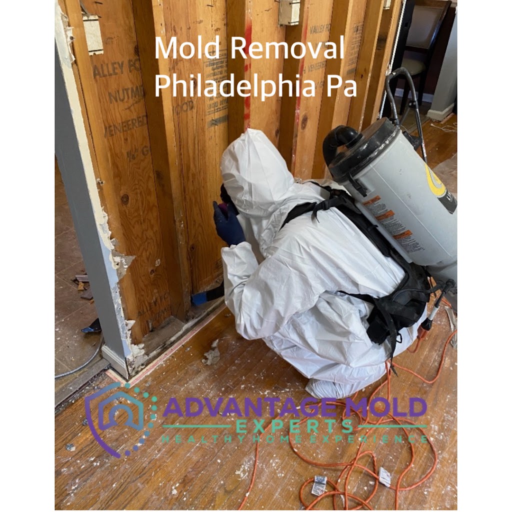 Advantage Mold Experts photo
