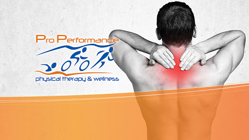 Pro Performance Physical Therapy & Wellness - Thumbnail