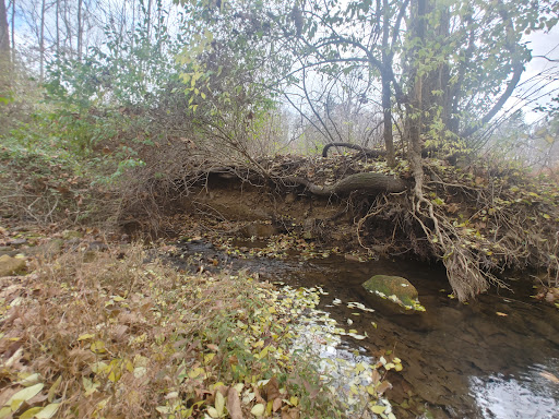 Indian Springs Wildlife Management Area - Thumbnail