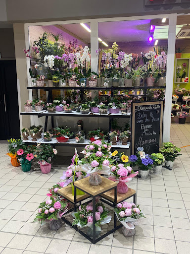 Fleurs Du Midi Sarl - Thumbnail