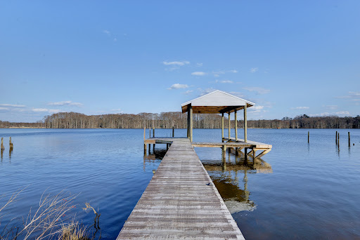 Carol Wills, REALTOR eXp Realty - Thumbnail