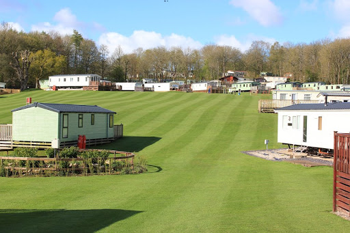 Old Park Wood Caravan Holiday Park - Thumbnail