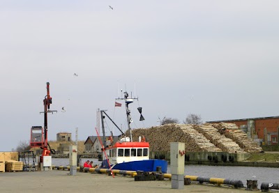 Photos of Roja Yacht Club